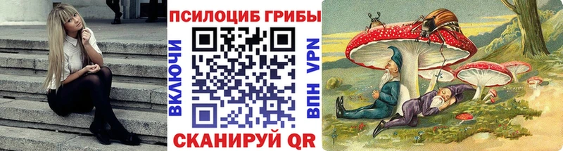 Псилоцибиновые грибы прущие грибы Сафоново